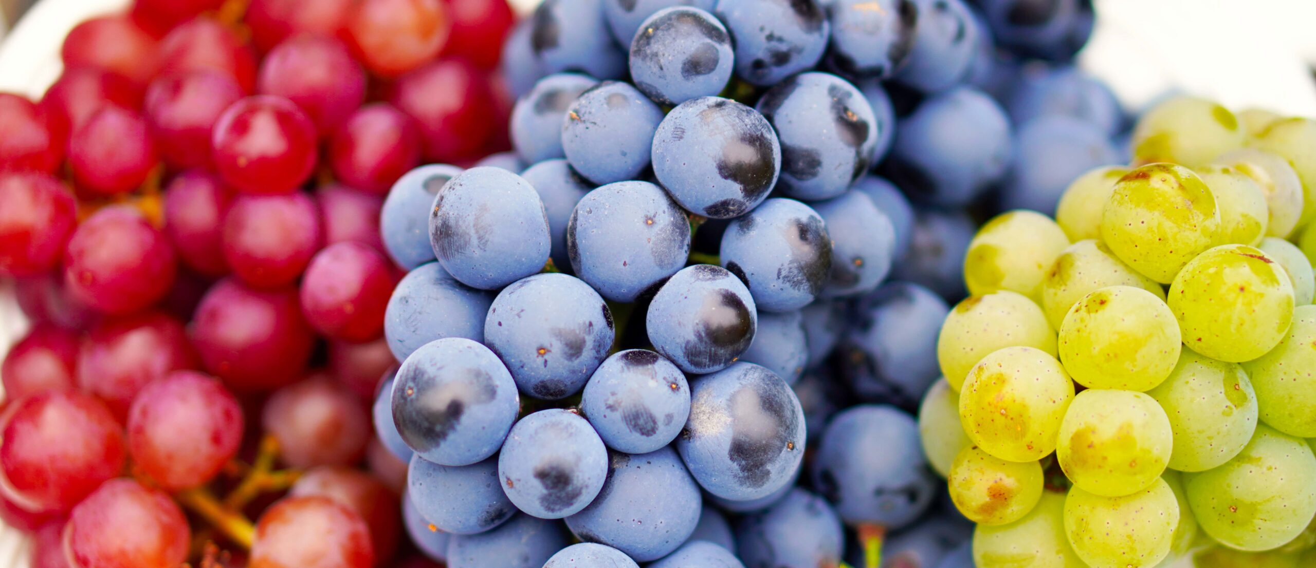 Advantages and disadvantages of grape