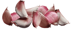 garlic