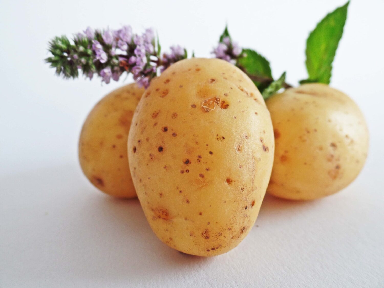 ADVANTAGES AND DISADVANTAGES OF POTATO