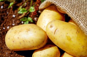 ADVANTAGES AND DISADVANTAGES OF POTATO
